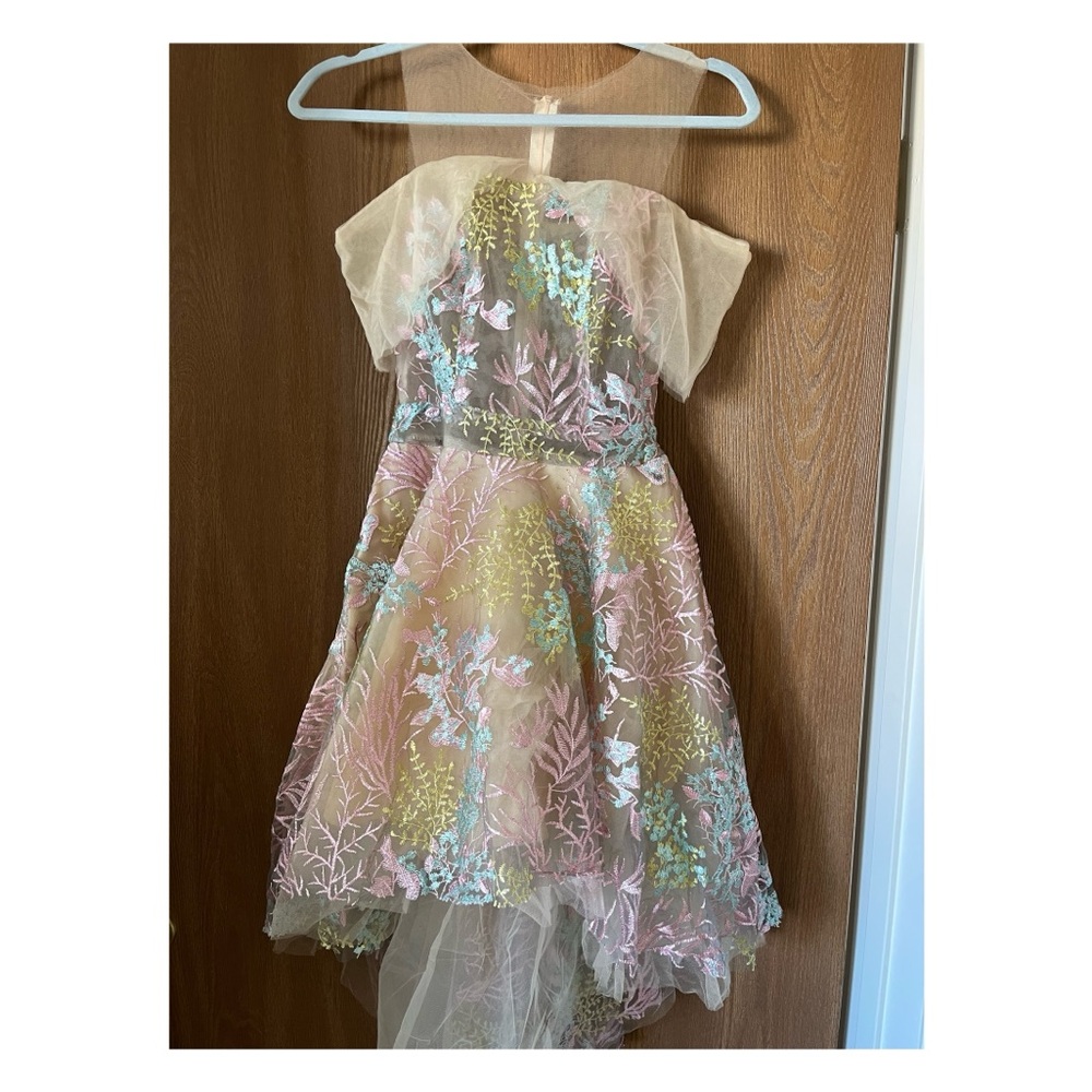 Floral Embroidered Dress with Sheer Overlay